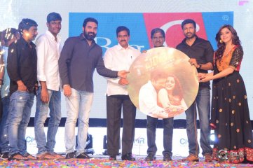 Pantham Audio Release Function
